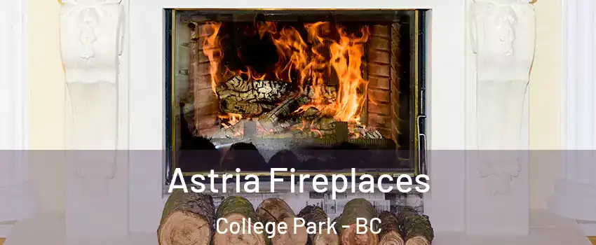  Astria Fireplaces College Park - BC