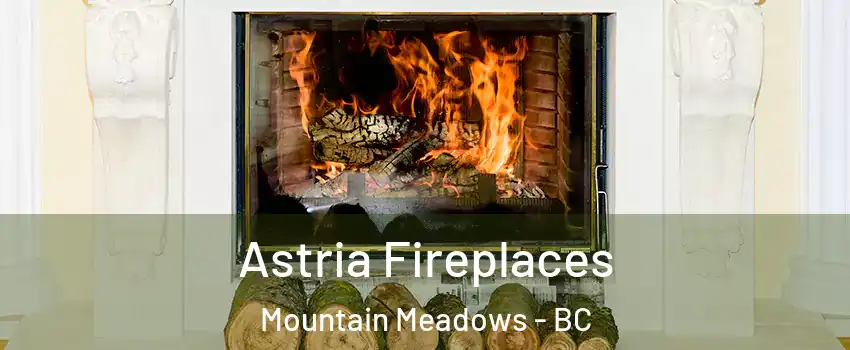  Astria Fireplaces Mountain Meadows - BC