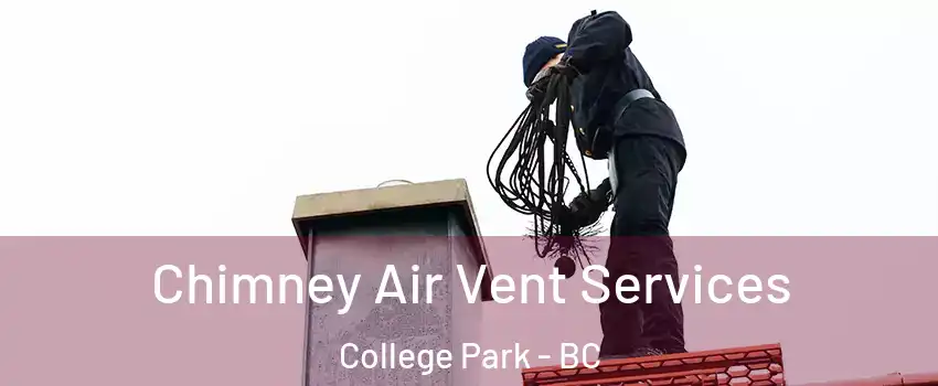  Chimney Air Vent Services College Park - BC