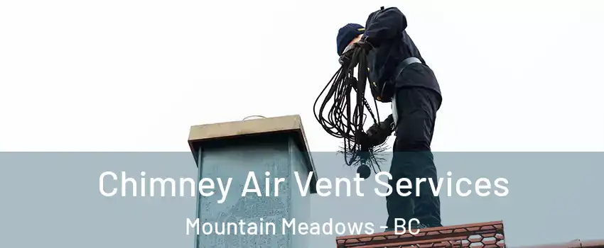  Chimney Air Vent Services Mountain Meadows - BC