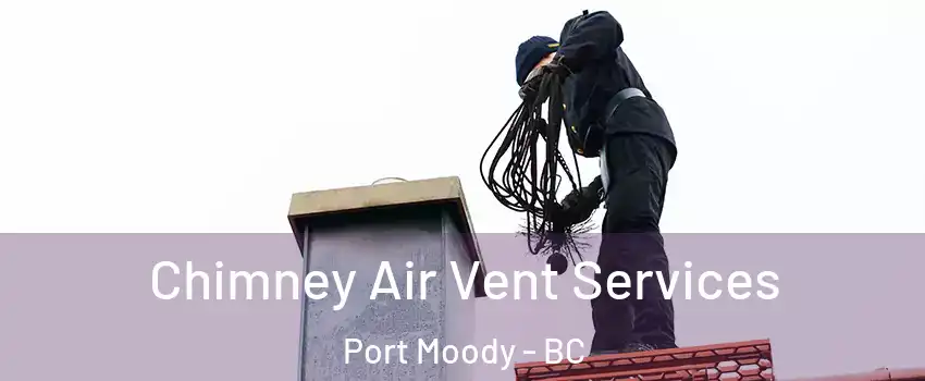  Chimney Air Vent Services Port Moody - BC