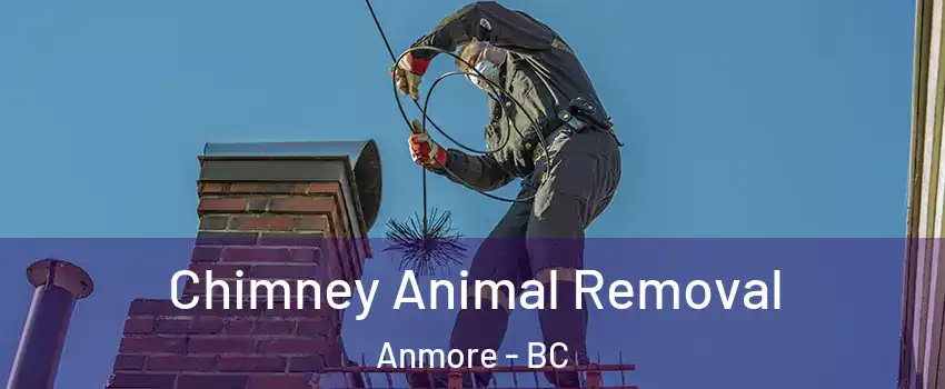  Chimney Animal Removal Anmore - BC