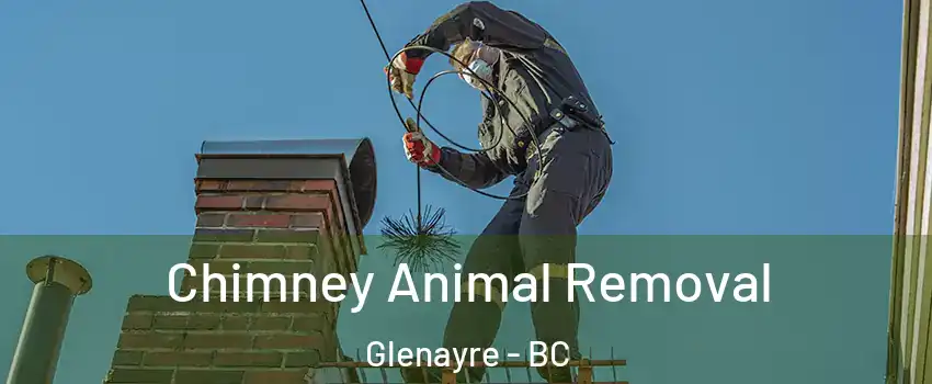  Chimney Animal Removal Glenayre - BC