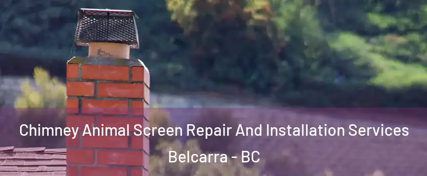  Chimney Animal Screen Repair And Installation Services Belcarra - BC