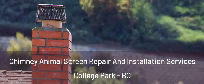  Chimney Animal Screen Repair And Installation Services College Park - BC