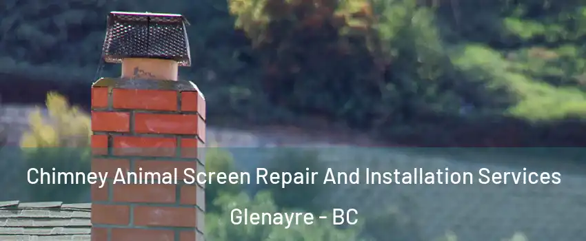  Chimney Animal Screen Repair And Installation Services Glenayre - BC