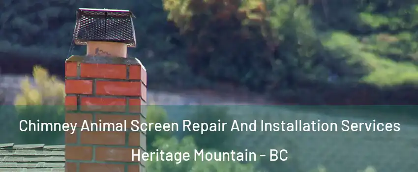  Chimney Animal Screen Repair And Installation Services Heritage Mountain - BC