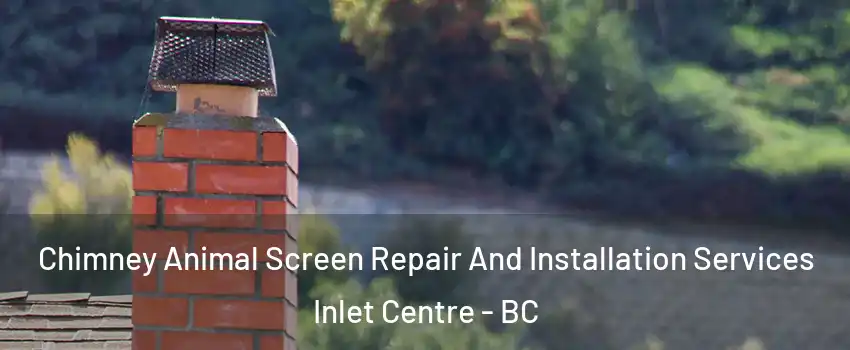  Chimney Animal Screen Repair And Installation Services Inlet Centre - BC