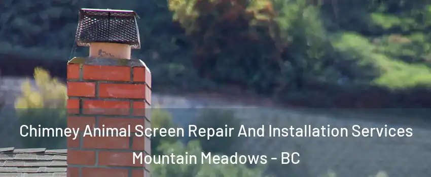  Chimney Animal Screen Repair And Installation Services Mountain Meadows - BC