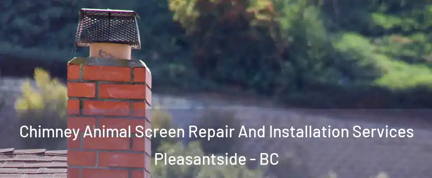  Chimney Animal Screen Repair And Installation Services Pleasantside - BC
