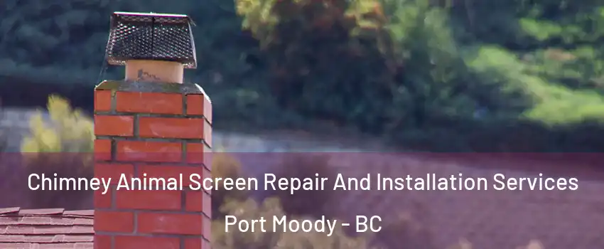  Chimney Animal Screen Repair And Installation Services Port Moody - BC