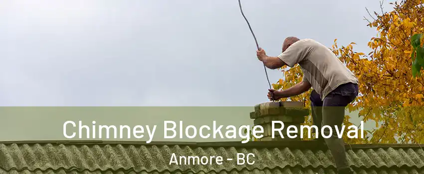  Chimney Blockage Removal Anmore - BC