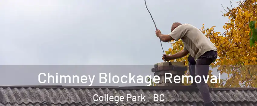  Chimney Blockage Removal College Park - BC