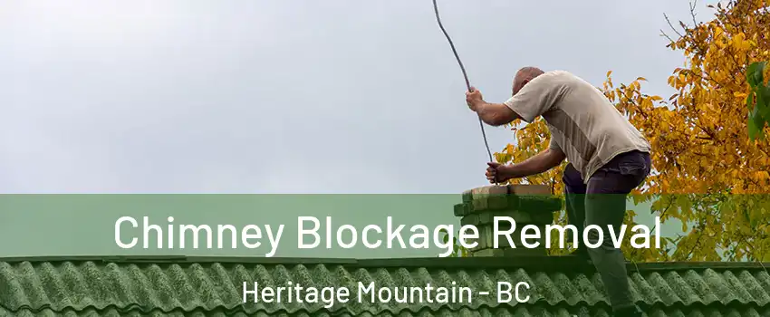  Chimney Blockage Removal Heritage Mountain - BC