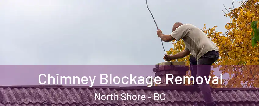  Chimney Blockage Removal North Shore - BC