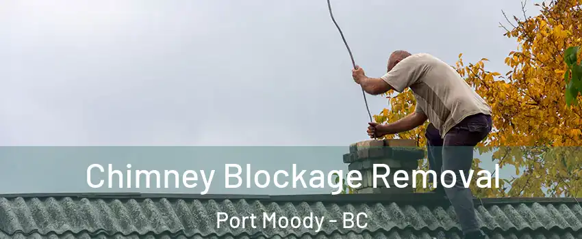  Chimney Blockage Removal Port Moody - BC
