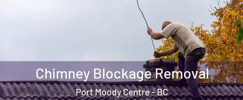  Chimney Blockage Removal Port Moody Centre - BC