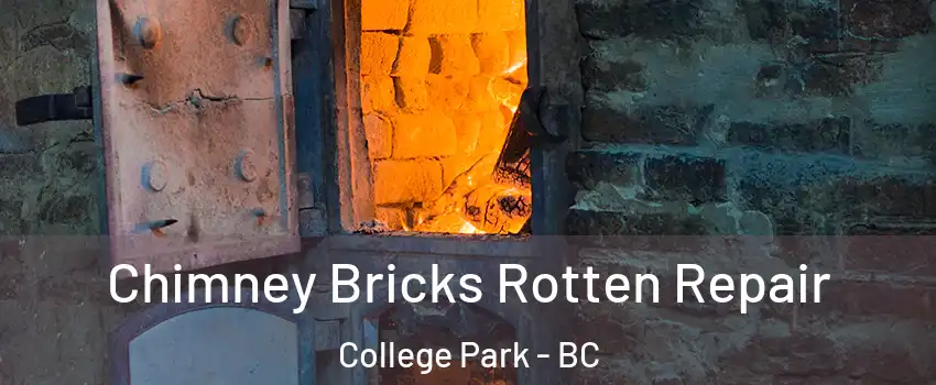  Chimney Bricks Rotten Repair College Park - BC