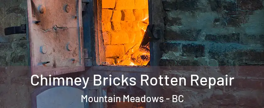  Chimney Bricks Rotten Repair Mountain Meadows - BC