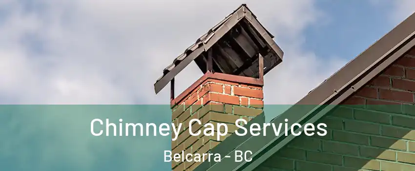  Chimney Cap Services Belcarra - BC