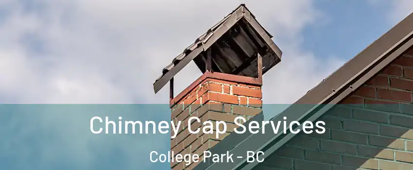  Chimney Cap Services College Park - BC