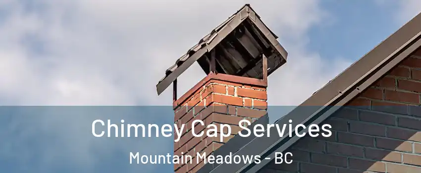  Chimney Cap Services Mountain Meadows - BC