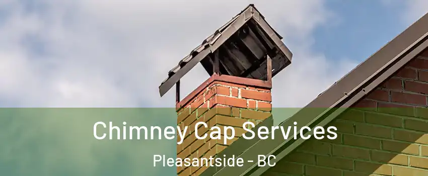  Chimney Cap Services Pleasantside - BC