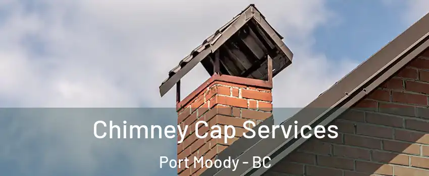  Chimney Cap Services Port Moody - BC