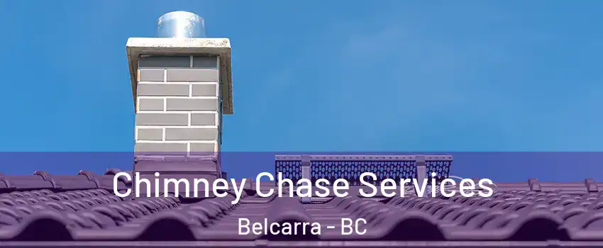  Chimney Chase Services Belcarra - BC