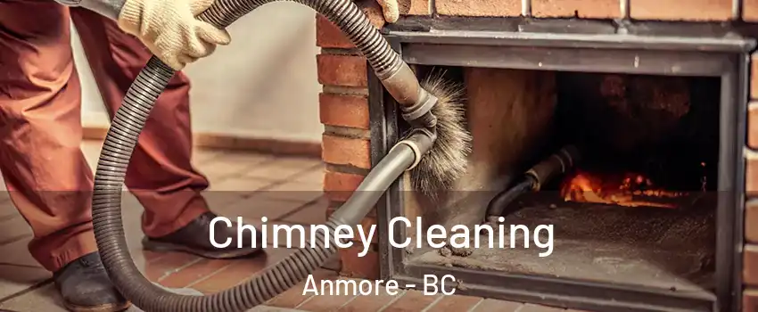  Chimney Cleaning Anmore - BC
