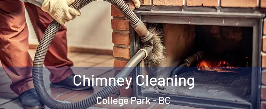  Chimney Cleaning College Park - BC