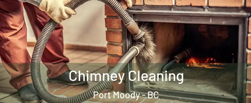  Chimney Cleaning Port Moody - BC