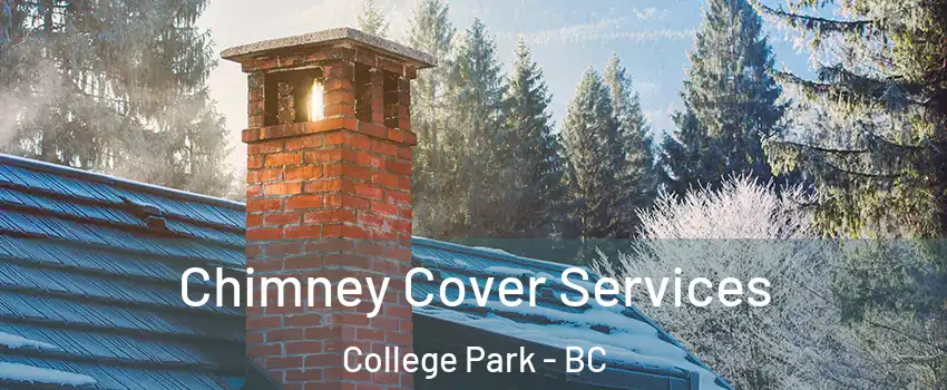  Chimney Cover Services College Park - BC