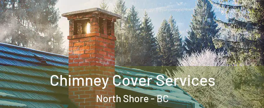 Chimney Cover Services North Shore - BC