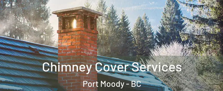  Chimney Cover Services Port Moody - BC