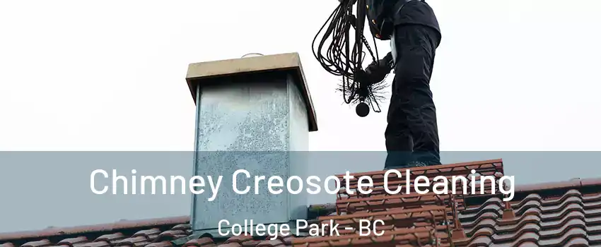  Chimney Creosote Cleaning College Park - BC