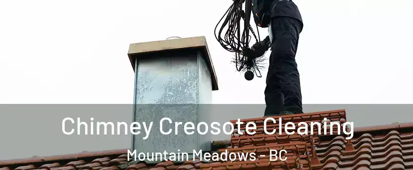  Chimney Creosote Cleaning Mountain Meadows - BC