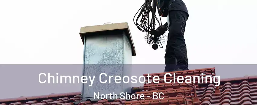  Chimney Creosote Cleaning North Shore - BC