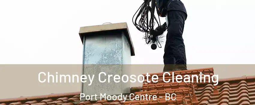  Chimney Creosote Cleaning Port Moody Centre - BC