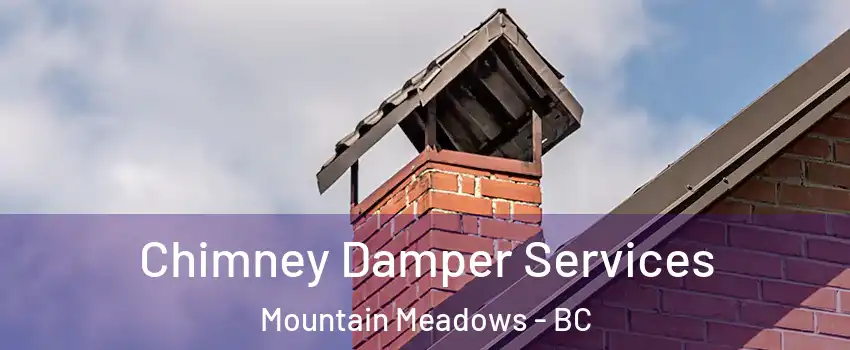  Chimney Damper Services Mountain Meadows - BC