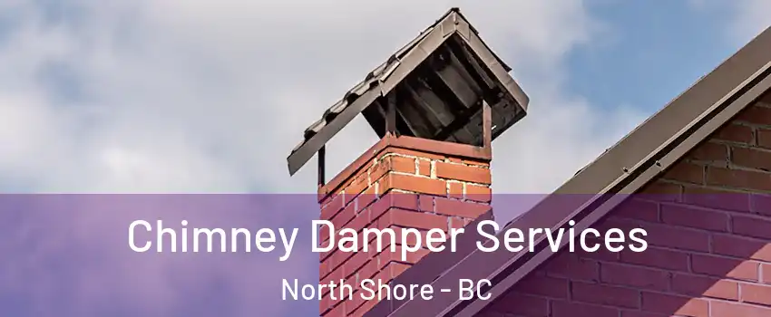  Chimney Damper Services North Shore - BC
