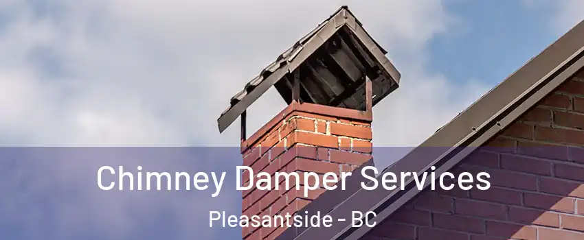 Chimney Damper Services Pleasantside - BC