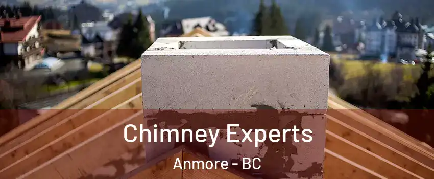  Chimney Experts Anmore - BC