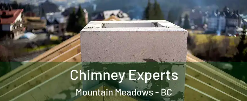  Chimney Experts Mountain Meadows - BC
