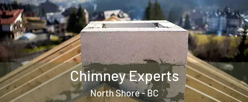  Chimney Experts North Shore - BC
