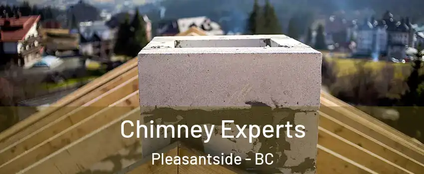  Chimney Experts Pleasantside - BC