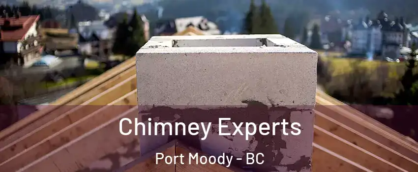  Chimney Experts Port Moody - BC