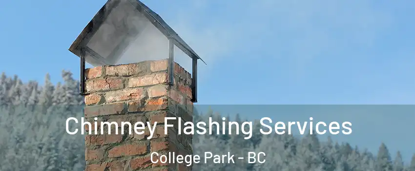  Chimney Flashing Services College Park - BC