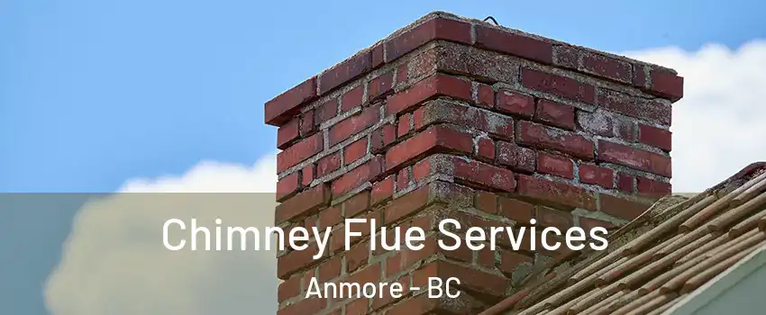  Chimney Flue Services Anmore - BC
