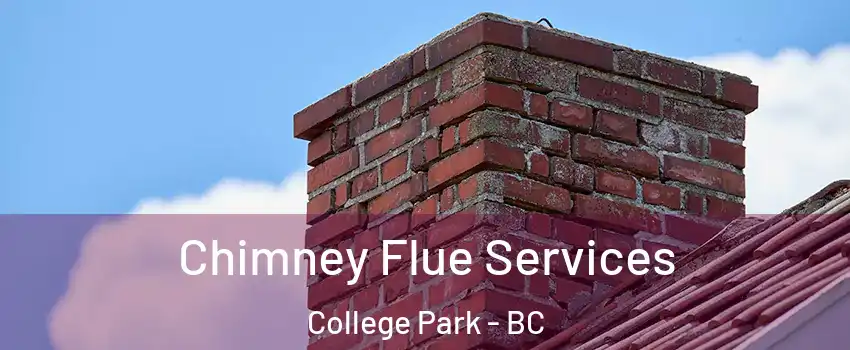  Chimney Flue Services College Park - BC